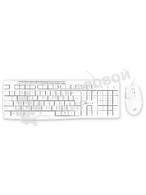 Комплект клавиатура+мышь Oklick S650 проводной, USB, 2000 DPI, белый