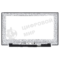 Матрица LQ173M1JW03