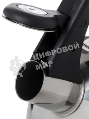 Чайник металлический Lara LR00-05 (зеркальный) 2.5 л, индукционное дно 0.3 мм, автоподъем ручки