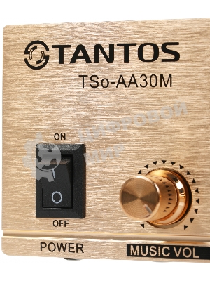 Усилитель Tantos TSo-AA30M выход 100Вт/30Вт