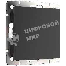 Заглушка Werkel W1159208 (черный матовый)