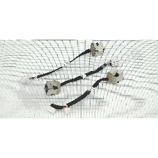 Разъем для ноутбука HY-HP044 HP ProBook 4530S 4730S с кабелем