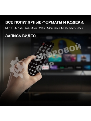 Цифровой TV ресивер HYUNDAI H-DVB240 черный