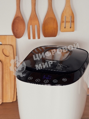 Хлебопечка Hyundai HYBM-P0613 белый/чёрный, 600 Вт, 0.9 кг, 12 программ