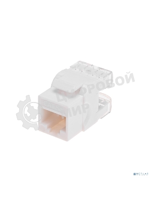 Модуль Keystone Rexant Jack RJ-45(8P8C), UTP неэкранированный, CAT 5e, тип 180 градусов, белый PRO
