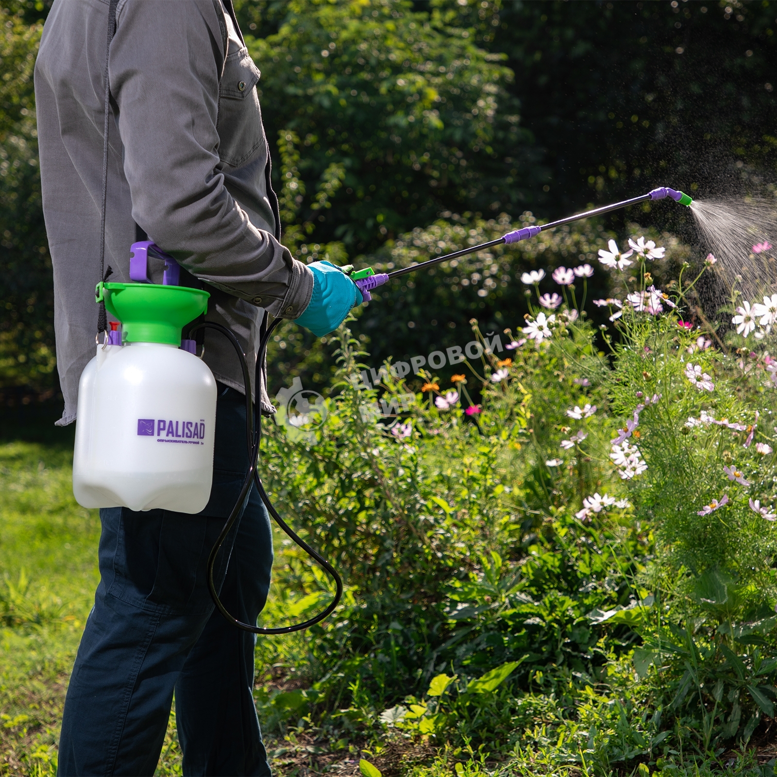 Опрыскиватель Palisad ручной с горловиной 3 л, насосом, шлангом, разбрызгиватель