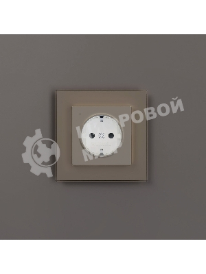 Розетка с подсветкой W (айвори матовый)