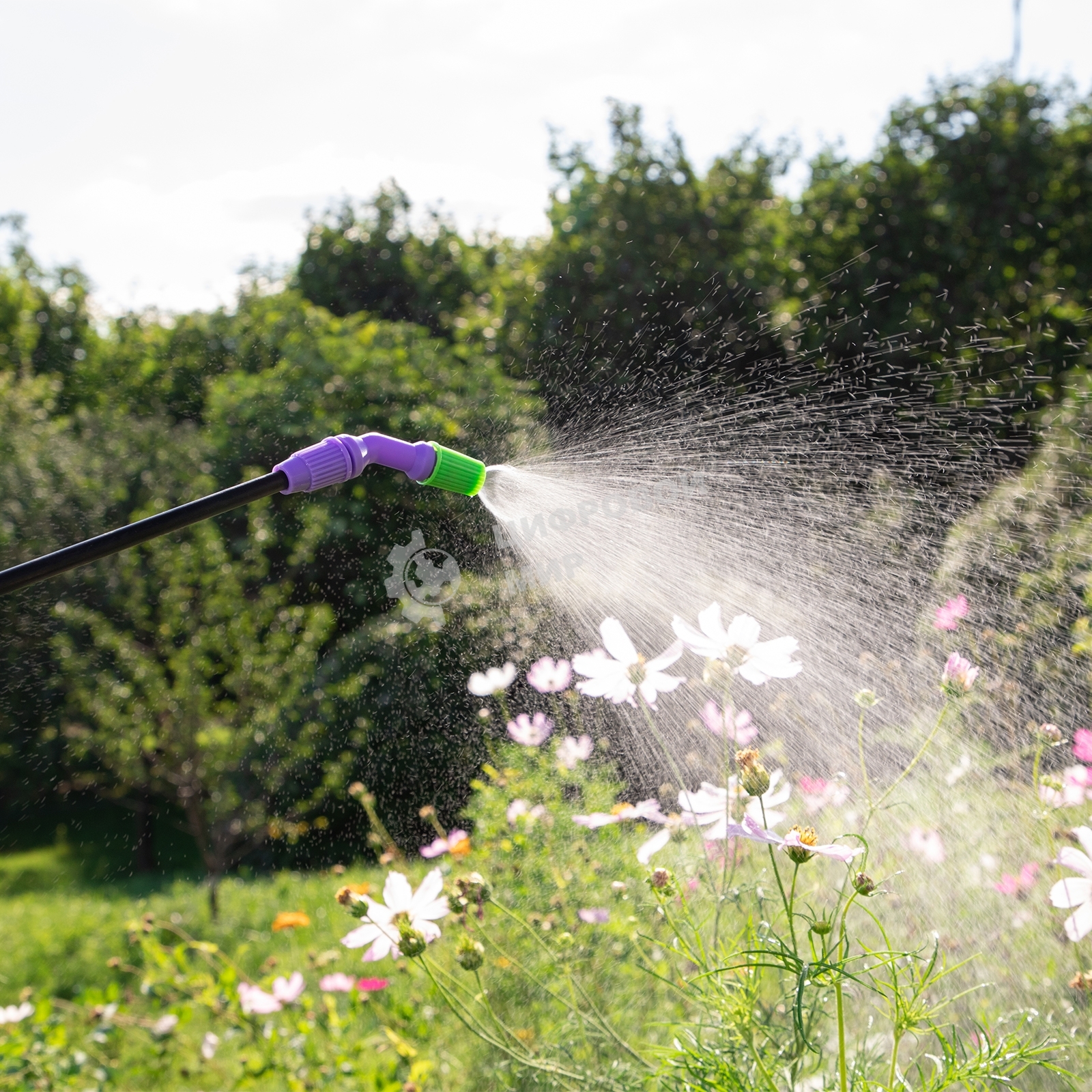 Опрыскиватель Palisad ручной с горловиной 3 л, насосом, шлангом, разбрызгиватель