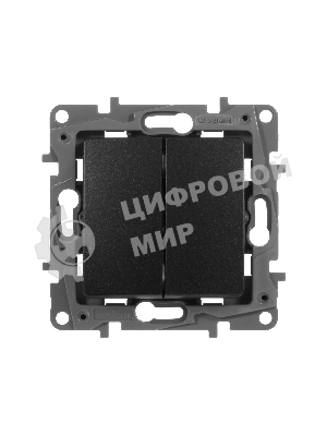 Выключатель двухклавишный, автоматические клеммы, Etika, 10AX, 250В~, антрацит Выключатель двухклавишный, автоматические клеммы, Etika, 10AX, 250В~, антрацит