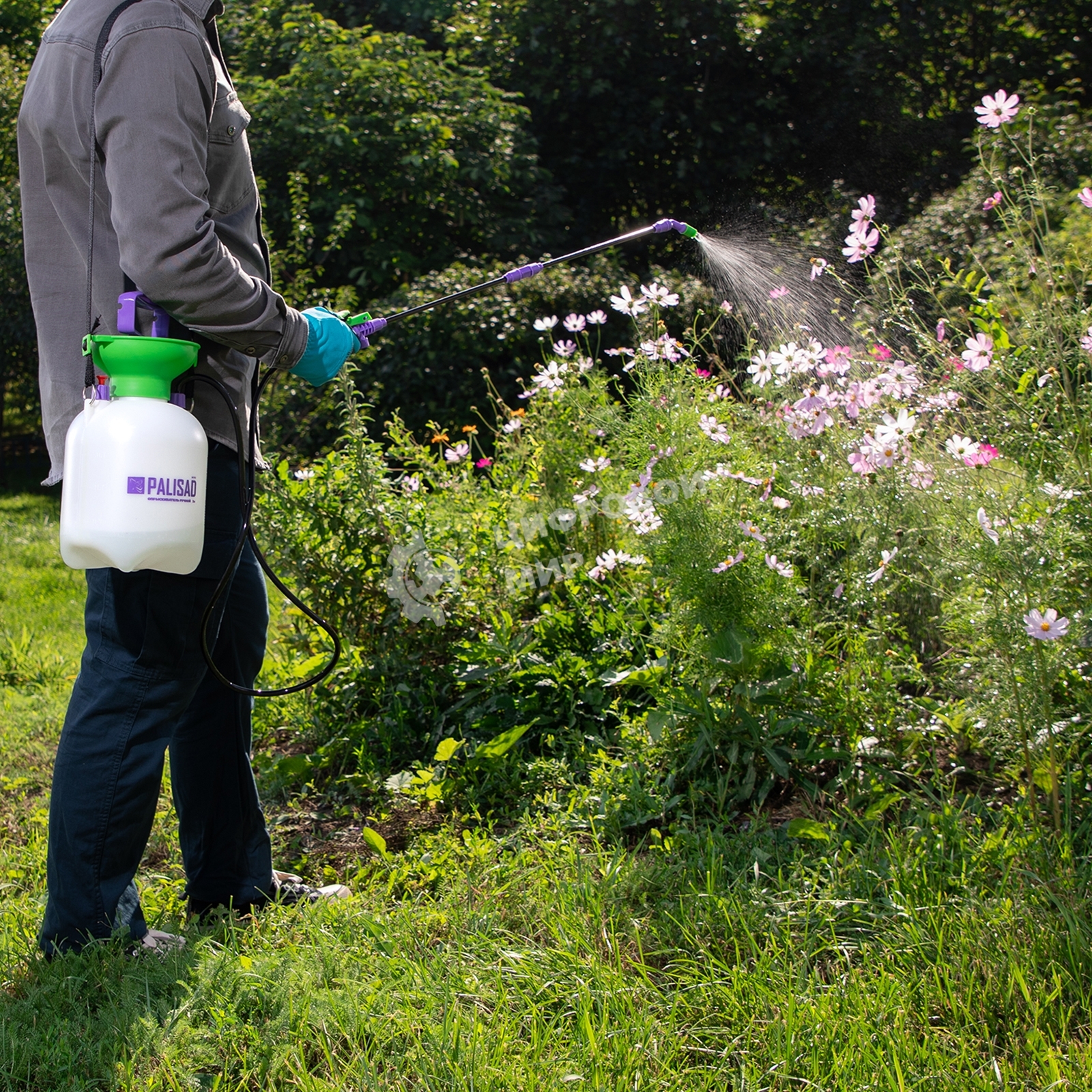 Опрыскиватель Palisad ручной с горловиной 3 л, насосом, шлангом, разбрызгиватель