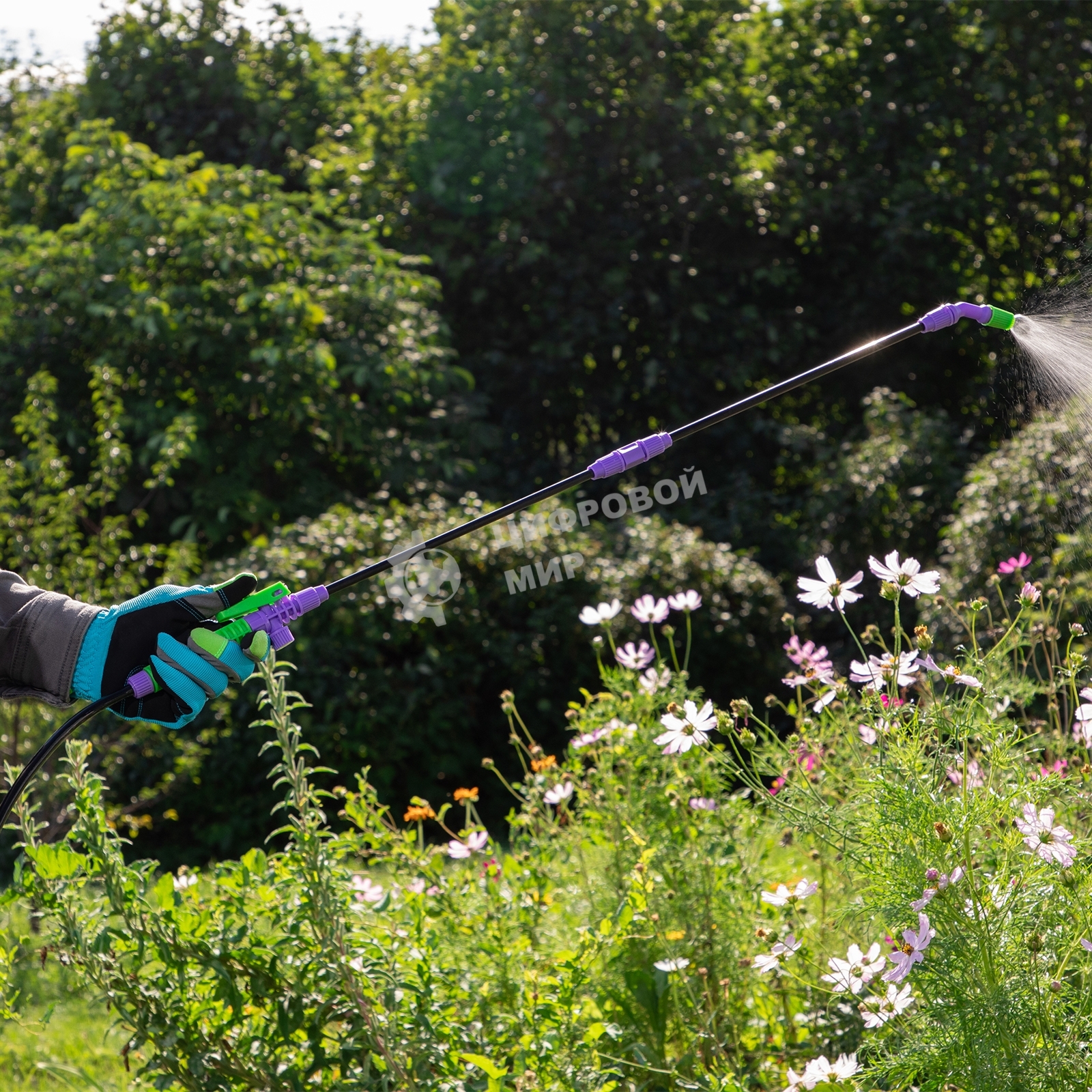 Опрыскиватель Palisad ручной с горловиной 3 л, насосом, шлангом, разбрызгиватель