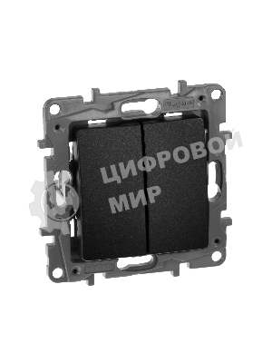 Выключатель двухклавишный, автоматические клеммы, Etika, 10AX, 250В~, антрацит Выключатель двухклавишный, автоматические клеммы, Etika, 10AX, 250В~, антрацит