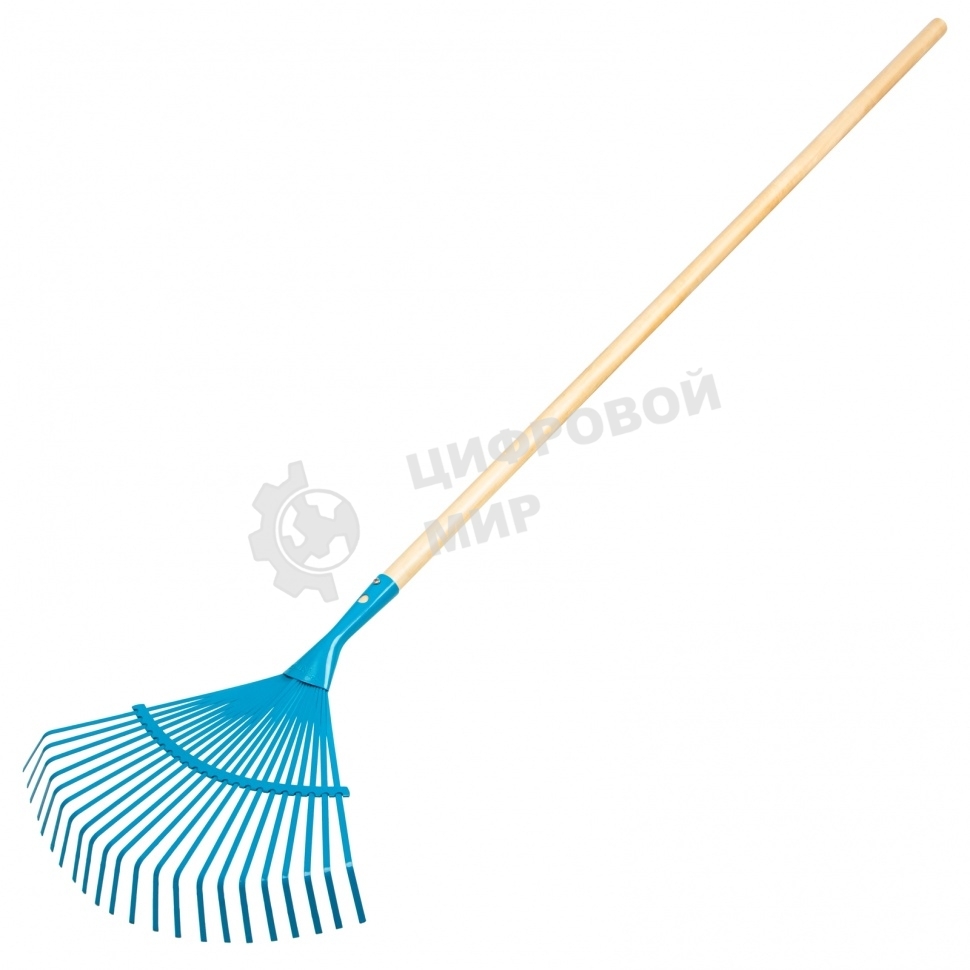 Грабли веерные стальные Palisad LUXE 430х1550 мм, 22 плоских зуба, лакированный черенок