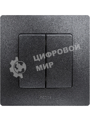 Выключатель двухклавишный, автоматические клеммы, Etika, 10AX, 250В~, антрацит Выключатель двухклавишный, автоматические клеммы, Etika, 10AX, 250В~, антрацит