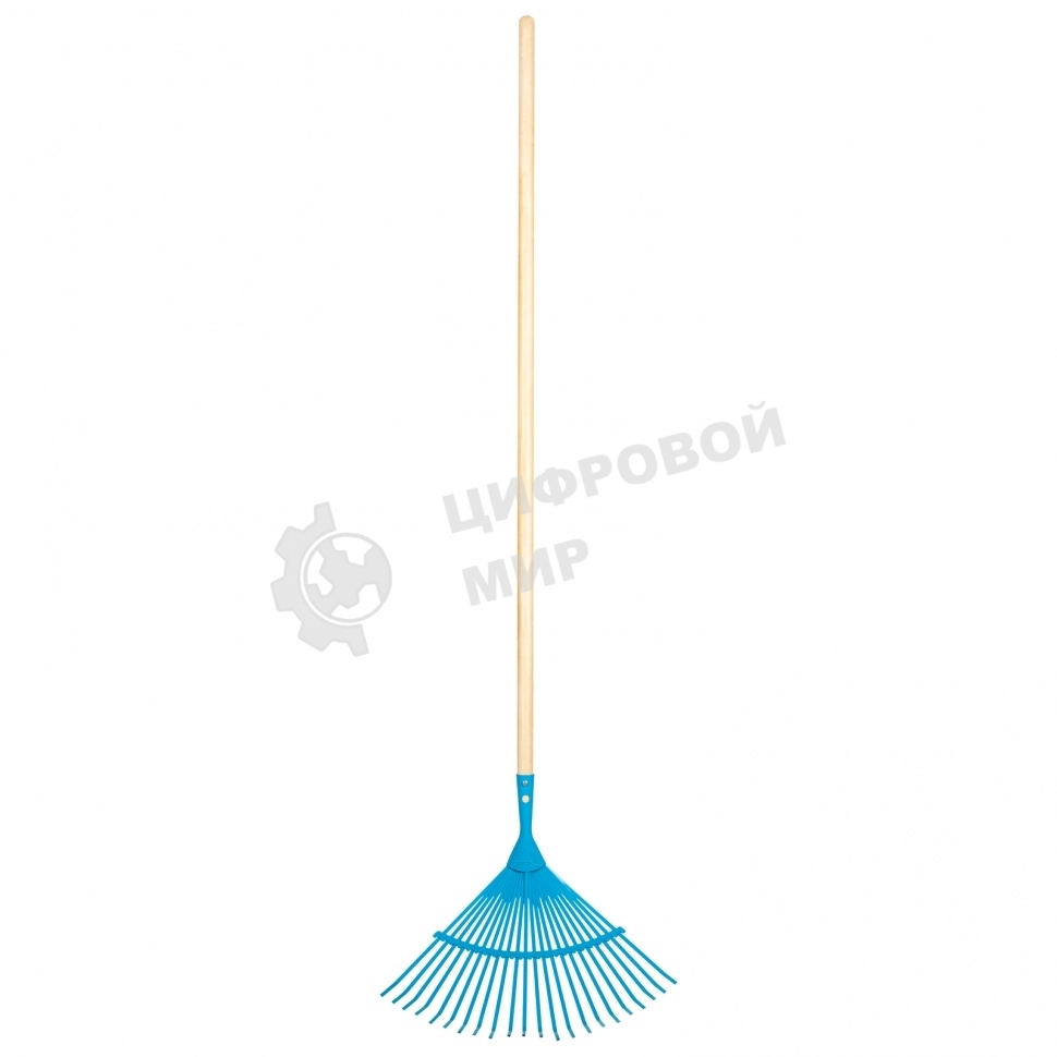 Грабли веерные стальные Palisad LUXE 430х1550 мм, 22 плоских зуба, лакированный черенок