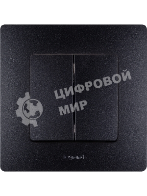 Выключатель двухклавишный, автоматические клеммы, Etika, 10AX, 250В~, антрацит Выключатель двухклавишный, автоматические клеммы, Etika, 10AX, 250В~, антрацит