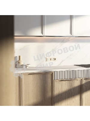Диммер N WERKEL (шампань рифленый) W1142010
