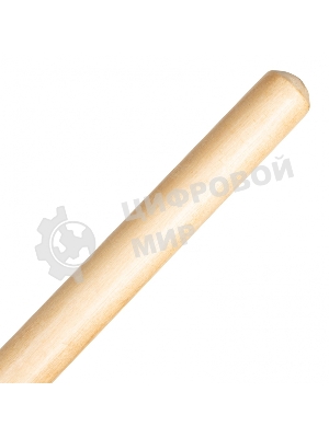 Грабли веерные стальные Palisad LUXE 430х1550 мм, 22 плоских зуба, лакированный черенок