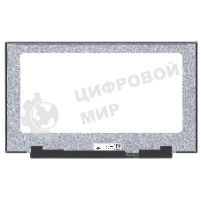 Матрица LQ173M1JW04