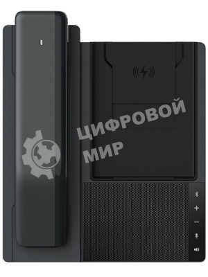 Телефон IP Fanvil DB20-H черный
