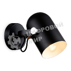 Светильник Ambrella light TR8204 BK черный E27 max 40W D117*280