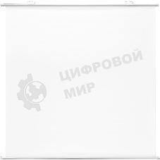 Экран Cactus 180x180см Map type CS-PSRM-180x180-WT 1:1 настенно-потолочный рулонный белый