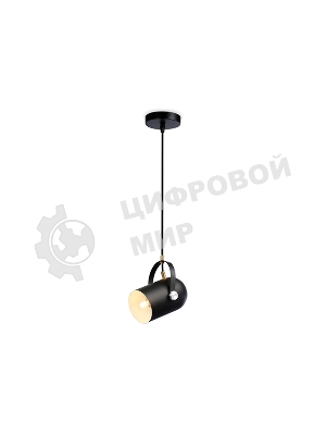 Светильник Ambrella light TR8206 BK черный E27 max 40W D117*1035