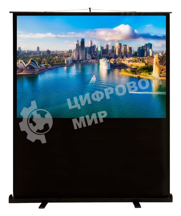 Экран Cactus 120x160 см FloorCompactExpert CS-PSFLCE-160X120 4:3 напольный рулонный