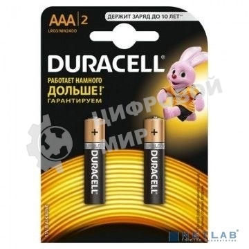 Батарея Duracell Basic CN LR03-2BL AAA (2шт)