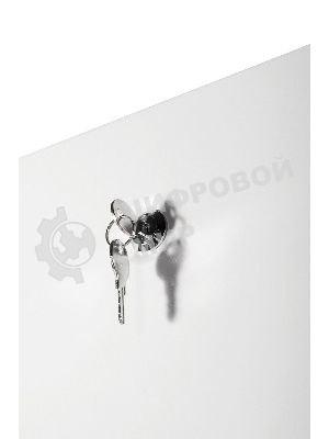 Шкаф коммутационный ЦМО (ШТК-Э-24.6.8-13АА) 24U 600x800 мм пер. дв. стекл металл 2 бок. пан. 540 кг серый