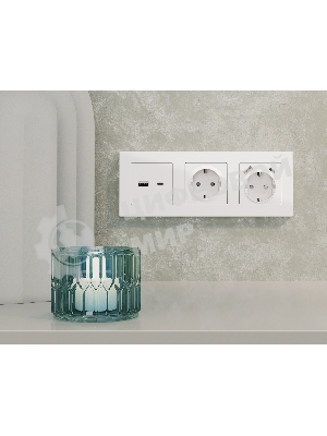 Комплект механизма электрической розетки ALFA Белый матовый 2USB A+C 20W (быстрая зарядка) с/з QUANT (AP1300, VM160) MA130010