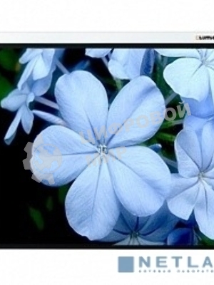 Экран Lumien 280x202см Master Picture LMP-100117 16:9 настенно-потолочный рулонный