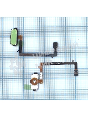 Кнопка HOME в сборе с механизмом и шлейфом для Samsung Galaxy S6 Edge SM-G925F, белый