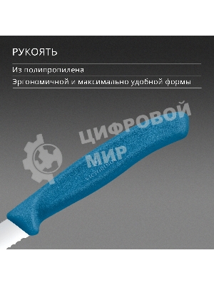 Нож кухонный Victorinox Swiss Classic (6.7632.C1) для чистки овощей и фруктов лезв. 80 мм серрейт. заточка синий