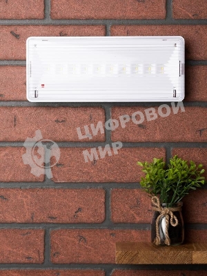Светильник аварийного освещения SAFEWAY-10 LED PROxima EKF dpa-201