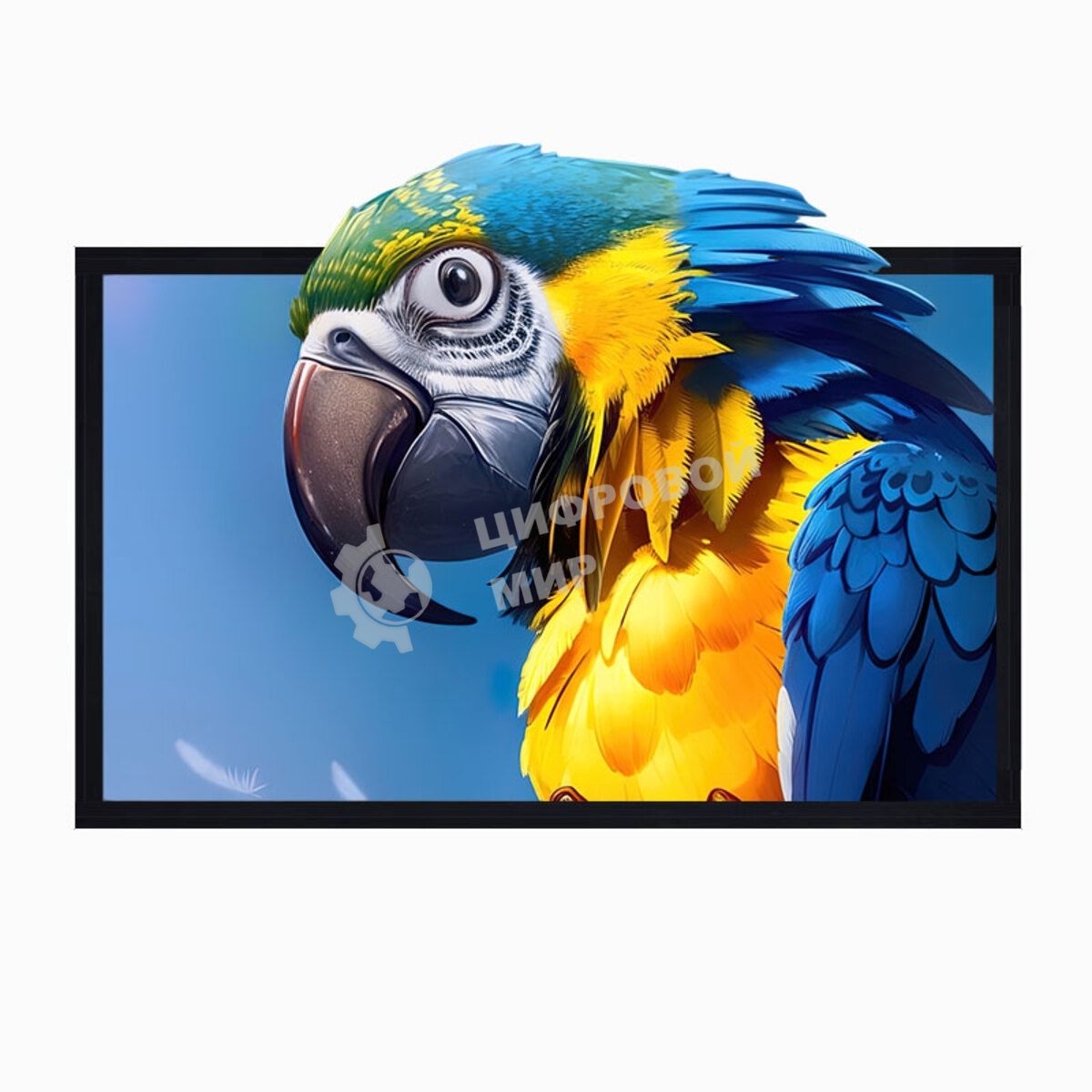 Экран для проектора S'OK SCFRV-266x150G 120