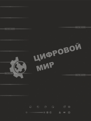 Индукционная варочная панель Darina 6Р9 ЕI 304 B, черный