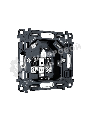 Механизм электрической розетки 2USB С+C 20W (быстрая зарядка) с/з на винтовых зажимах 16A-250V QUANT VM165
