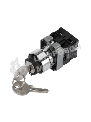 Переключатель Rexant BD32 3P с замком NO