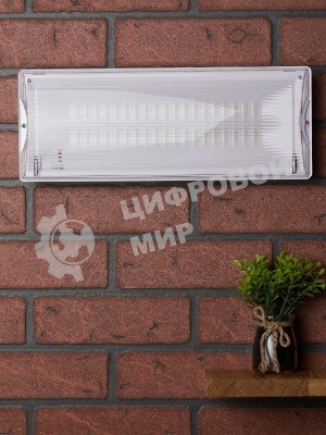 Светильник аварийного освещения SAFEWAY-40 LED PROxima EKF dpa-202