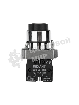 Переключатель Rexant BD21 2P с замком NO