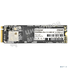 Накопитель SSD ExeGate NextPro+ KC2000TP256, 256Gb, M.2 2280, PCIe 3.0 x4, NVMe, R/W 1500/900