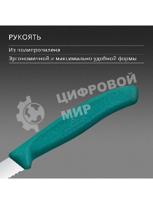 Нож кухонный Victorinox Swiss Classic (6.7634.C1) для чистки овощей и фруктов лезв. 80 мм серрейт. заточка зеленый