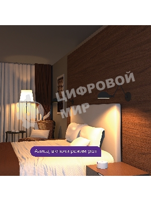 Лампа светодиодная филаментная Gauss Smart Home DIM E14 C35 4,5 Вт 1/10/40