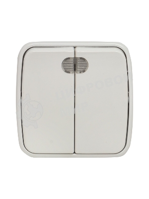 Выключатель 2-клавишный ОП 10А с индикатором белый EKF Basic Минск