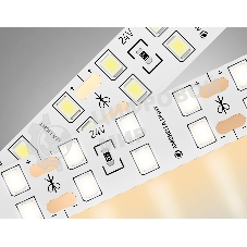 Светодиодная лента Ambrella light GS3601 2835 204Led/ 20W m/ 24V IP20 3000K/ 5000*14*1.2mm (2 конт.)