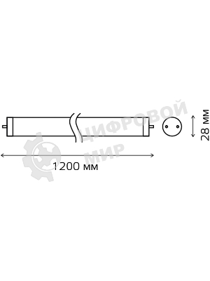 Лампа светодиодная Gauss Elementary T8 Glass 1200мм G13 20Вт 6500К