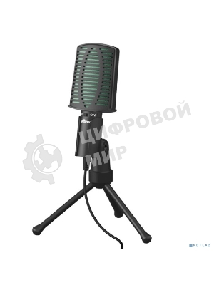 Микрофон RITMIX RDM-126 Black-Green 0dB=1V / Pa на 1kHz, 50Hz-16kHz, ?2.2 k?, 3,5 мм, 1,8 м
