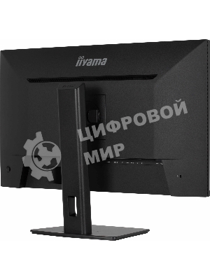 Монитор Iiyama 32