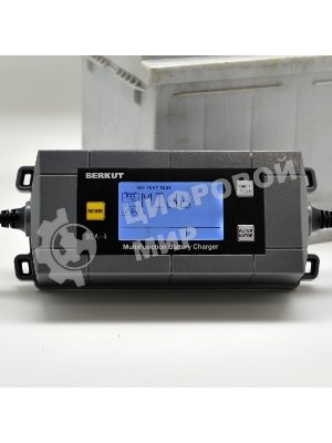 Зарядное устройство Berkut BCA-4